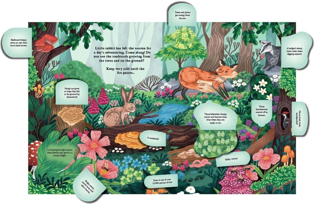 Hide And Find In The Forest