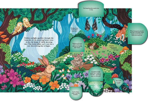Hide And Find In The Forest