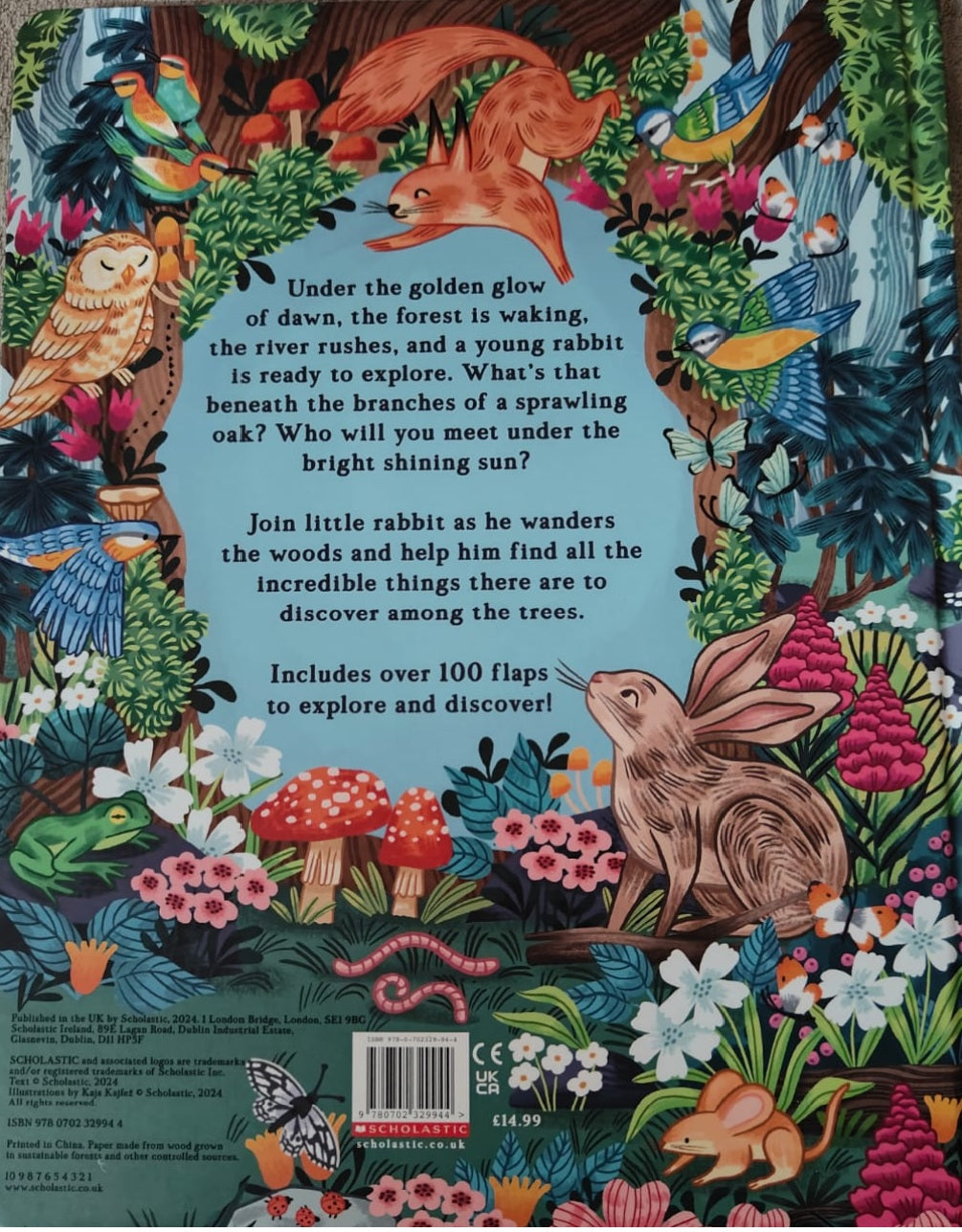 Hide And Find In The Forest